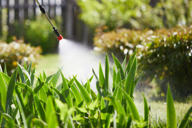 Tamper-Resistant Bait Stations for Rodents in Arnold